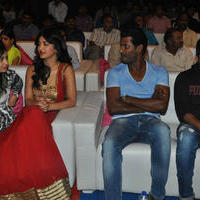 Pooja Audio Launch Function Photos | Picture 840872