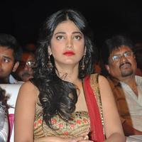 Pooja Audio Launch Function Photos | Picture 840911
