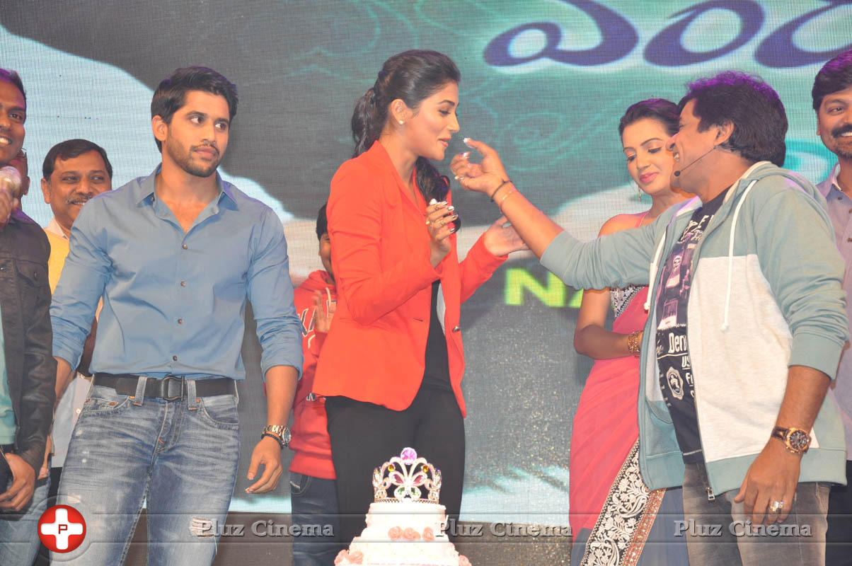 Pooja Hegde Birthday Celebration at Oka Laila Kosam Audio Launch Photos | Picture 846085