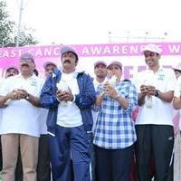 Balakrishna at Breast Cancer Awareness Walk Photos | Picture 848752