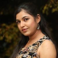 Bhavani Agarwal at Welcome to America Movie Audio Release Photos | Picture 855805