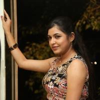 Bhavani Agarwal at Welcome to America Movie Audio Release Photos | Picture 855814