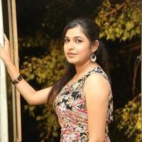 Bhavani Agarwal at Welcome to America Movie Audio Release Photos | Picture 855816