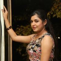 Bhavani Agarwal at Welcome to America Movie Audio Release Photos | Picture 855817