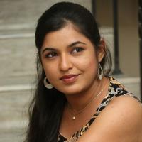 Bhavani Agarwal at Welcome to America Movie Audio Release Photos | Picture 855820