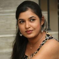 Bhavani Agarwal at Welcome to America Movie Audio Release Photos | Picture 855821