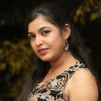 Bhavani Agarwal at Welcome to America Movie Audio Release Photos