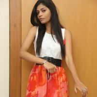 Bindhu at Welcome to America Movie Audio Release Photos | Picture 855789