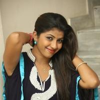 Geethanjali at Welcome to America Movie Audio Release Photos | Picture 855764