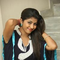 Geethanjali at Welcome to America Movie Audio Release Photos | Picture 855765
