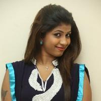 Geethanjali at Welcome to America Movie Audio Release Photos | Picture 855779