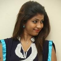 Geethanjali at Welcome to America Movie Audio Release Photos | Picture 855780