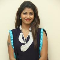 Geethanjali at Welcome to America Movie Audio Release Photos | Picture 855781