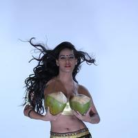 Poonam Pandey Hot in Malini and Co Press Meet Photos | Picture 1061004