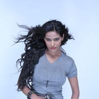 Poonam Pandey Hot in Malini and Co Press Meet Photos | Picture 1061009