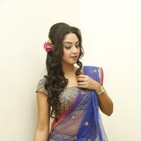 Angana Roy in Saree Latest Stills | Picture 1066659