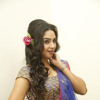 Angana Roy in Saree Latest Stills | Picture 1066662
