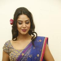 Angana Roy in Saree Latest Stills | Picture 1066666