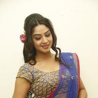 Angana Roy in Saree Latest Stills | Picture 1066671