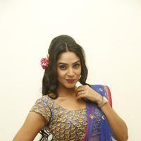 Angana Roy in Saree Latest Stills | Picture 1066676