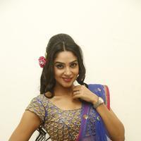 Angana Roy in Saree Latest Stills | Picture 1066678