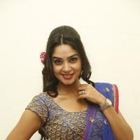 Angana Roy in Saree Latest Stills | Picture 1066680