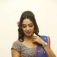 Angana Roy in Saree Latest Stills | Picture 1066682