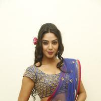 Angana Roy in Saree Latest Stills | Picture 1066683