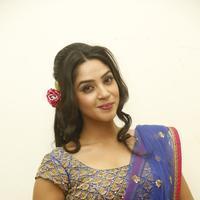Angana Roy in Saree Latest Stills | Picture 1066685