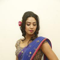 Angana Roy in Saree Latest Stills | Picture 1066687