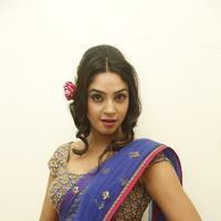 Angana Roy in Saree Latest Stills | Picture 1066688