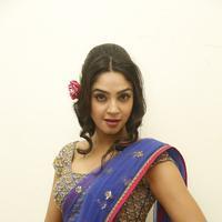 Angana Roy in Saree Latest Stills | Picture 1066689