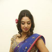 Angana Roy in Saree Latest Stills | Picture 1066690