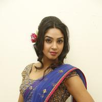 Angana Roy in Saree Latest Stills | Picture 1066691