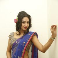 Angana Roy in Saree Latest Stills | Picture 1066692