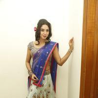 Angana Roy in Saree Latest Stills | Picture 1066694