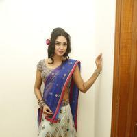 Angana Roy in Saree Latest Stills | Picture 1066695