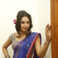 Angana Roy in Saree Latest Stills | Picture 1066697