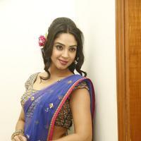 Angana Roy in Saree Latest Stills | Picture 1066702