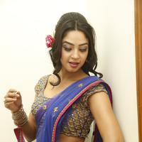 Angana Roy in Saree Latest Stills | Picture 1066703