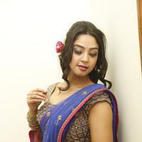 Angana Roy in Saree Latest Stills | Picture 1066707