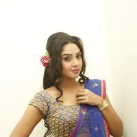 Angana Roy in Saree Latest Stills | Picture 1066711