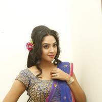 Angana Roy in Saree Latest Stills | Picture 1066712
