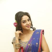 Angana Roy in Saree Latest Stills | Picture 1066714