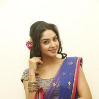 Angana Roy in Saree Latest Stills | Picture 1066715