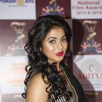 Poorna at TSR TV9 National Film Awards Photos | Picture 1069913