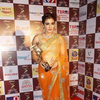 Raveena Tandon Hot in Saree at TSR TV9 National Film Awards Photos | Picture 1070123