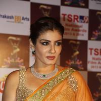 Raveena Tandon Hot in Saree at TSR TV9 National Film Awards Photos | Picture 1070142