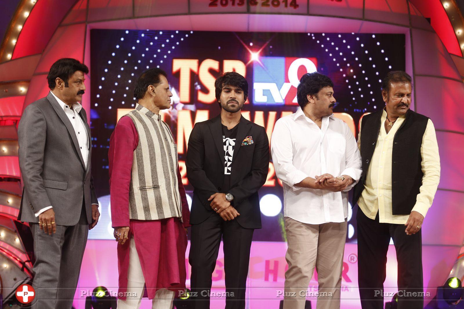 Ram Charan Teja - TSR TV9 National Film Awards 2015 Photos | Picture 1068971