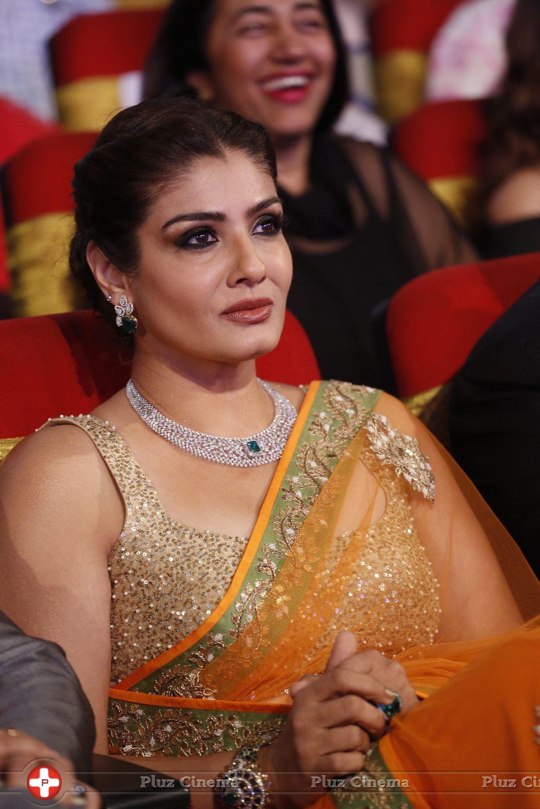 Raveena Tandon - TSR TV9 National Film Awards 2015 Photos | Picture 1069008